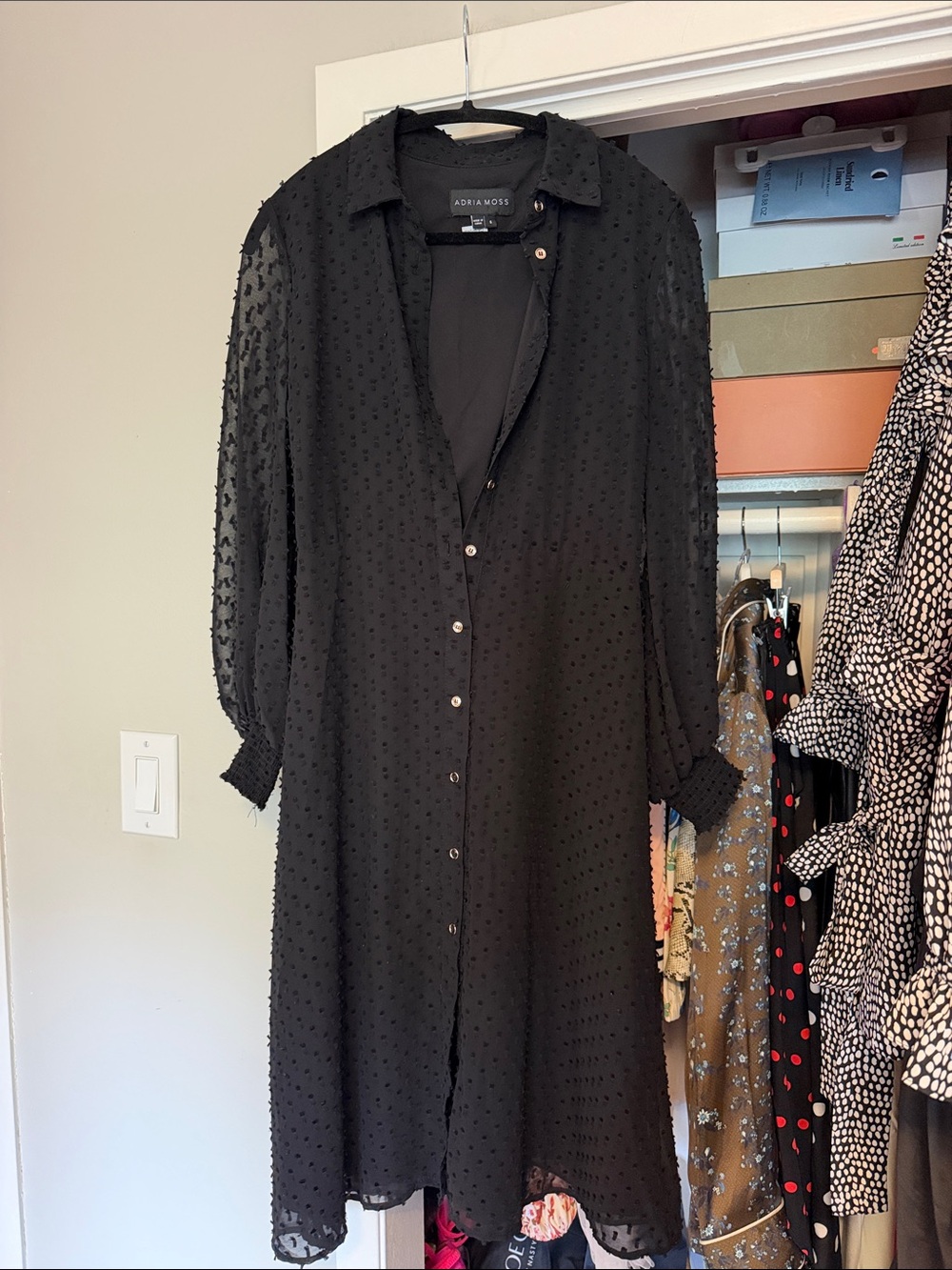 Black Swiss Dot Button-Front Midi Shirt Dress